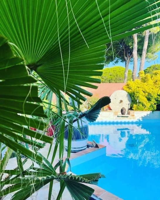 Hebergement Insolite Studio Grau Du Roi Mas Des Marines Piscine Le Grau-du-Roi Exterior foto